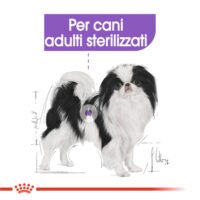 Cane bianco e nero per adulti sterilizzati