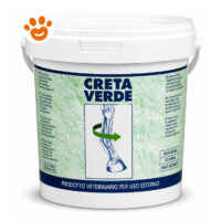 Secchio di creta verde veterinaria per cavalli