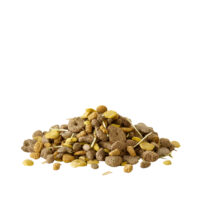 Mucchio di mangime misto per roditori