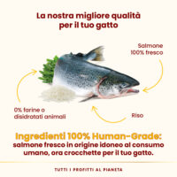 Salmone fresco e riso per gatto