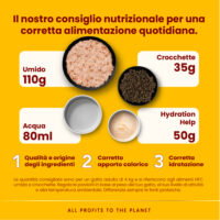 Schema porzioni alimentari quotidiane per gatto adulto