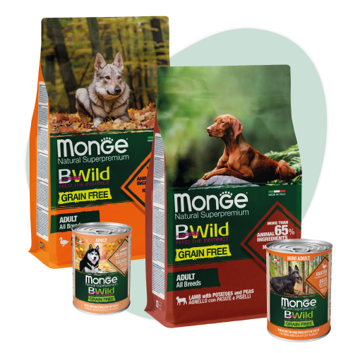 Confezioni Monge BWild cibo grain free per cani