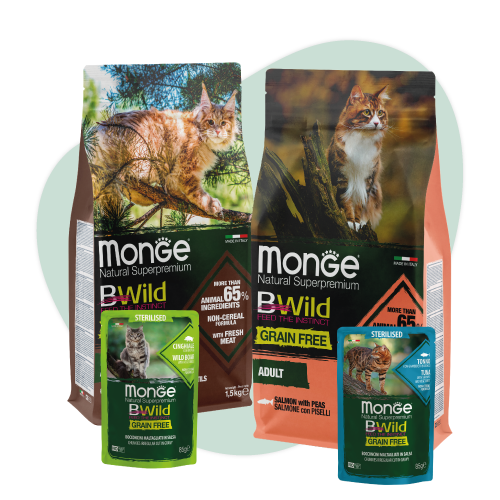 Confezioni cibo per gatti Monge BWild
