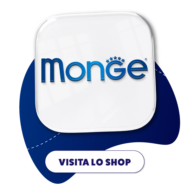 Logo Monge con pulsante Visita lo Shop