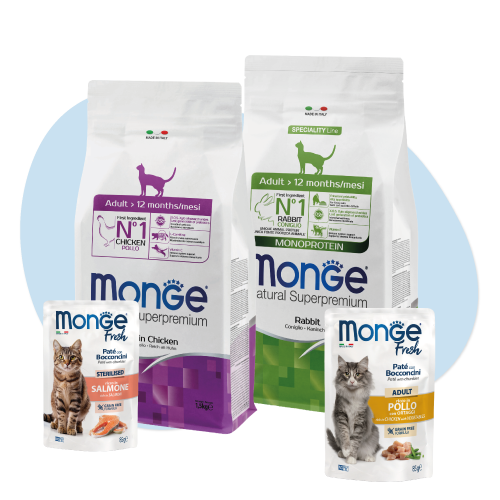Sacchetti e buste cibo gatto Monge