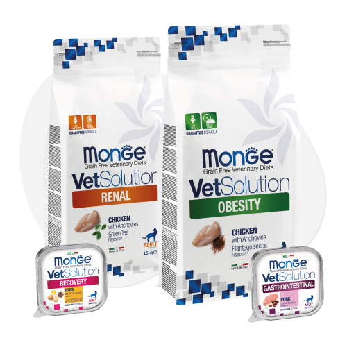Confezioni Monge VetSolution per cani e gatti