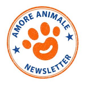 Logo Amore Animale Newsletter con zampa arancione